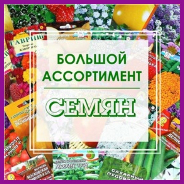 45d458e7204593d4dadcc366622e7818