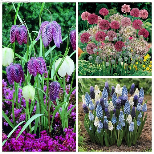 7d6d78e1e896a5681faa47a8a8d0aefa