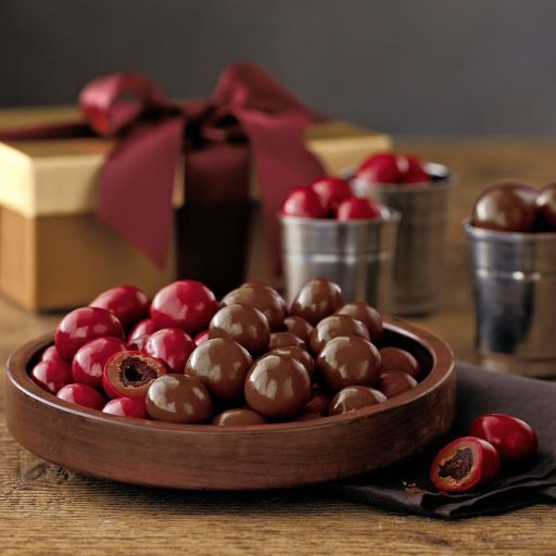 dried fruits and berries in chocolate