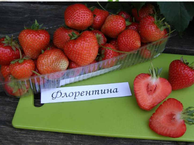 k5mud30yzbwfm6ud23h542i1vg309gd8