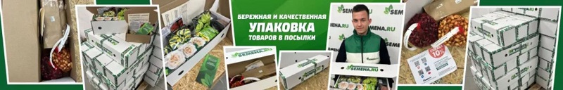 Скриншот 16-12-2025 161608 copy