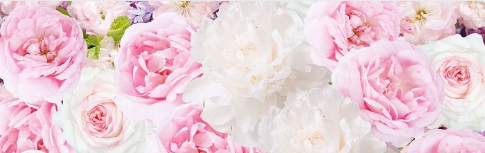 Скриншот 20-11-2025 171908