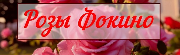 Скриншот 23-12-2025 184031